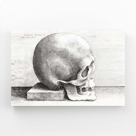 Engraved Skull Study Da Vinci Canvas Art — vintage canvas print, angled canvas view on white background