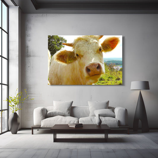Face Cow Canvas Art – angled canvas view on white background
