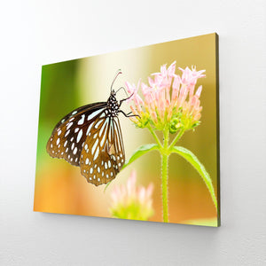 Flower And Butterfly Wall Art