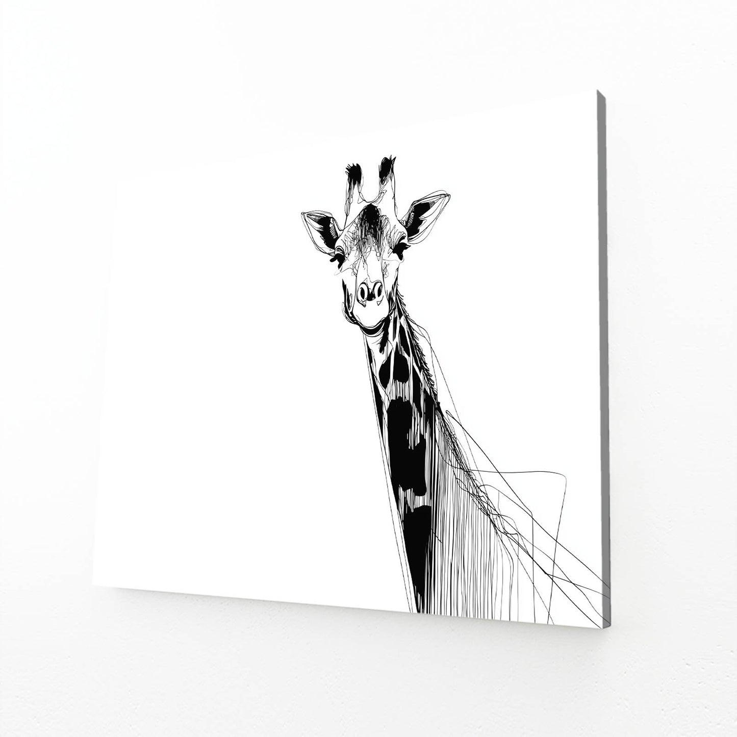Black and white illustration of a giraffe on a white background