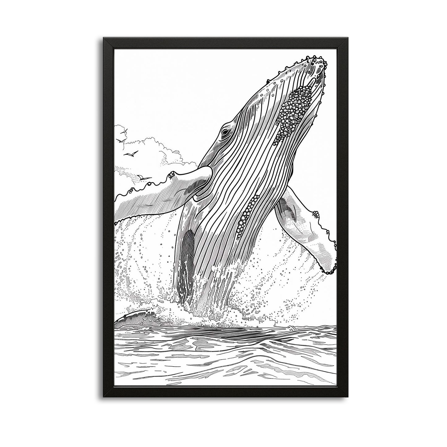 Humpback Whale Line Art