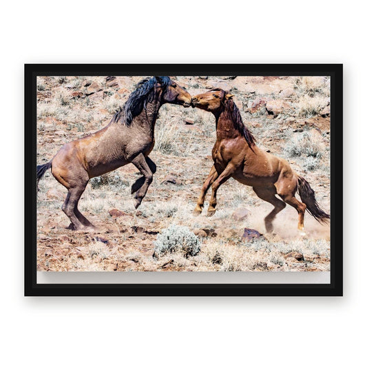Kissing Horse Prints – with Premium Black wood frame