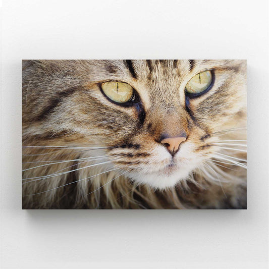 Large Cat Wall Art — nature canvas print in brown tones