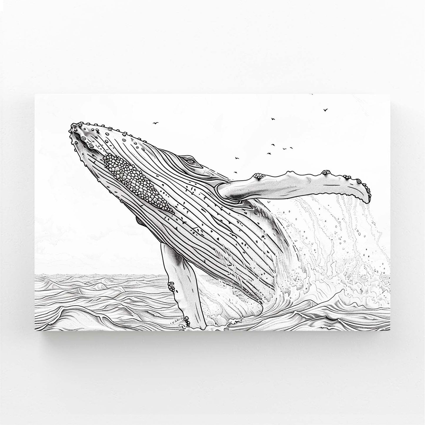 Line Art Black And White Whale Art