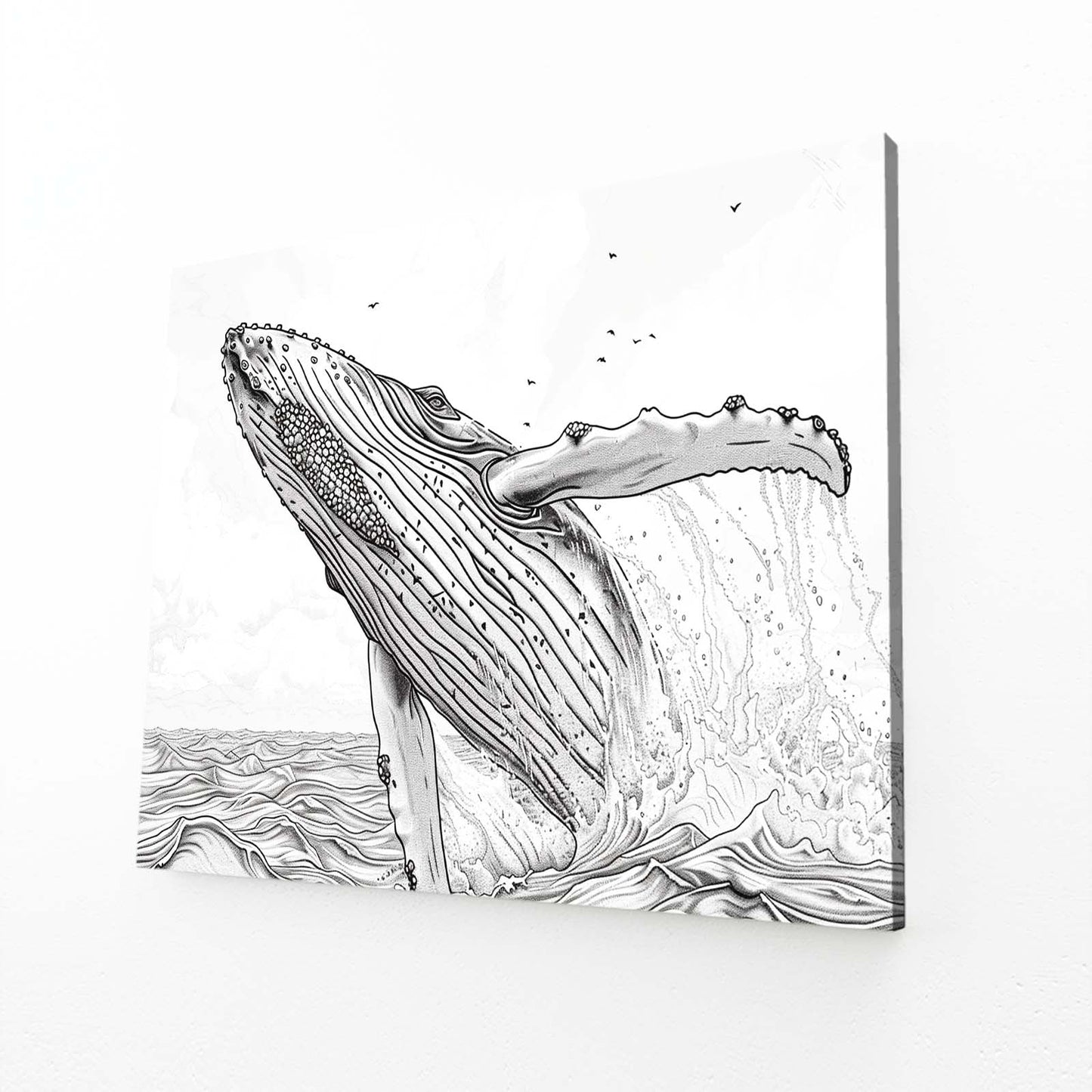 Line Art Black And White Whale Art