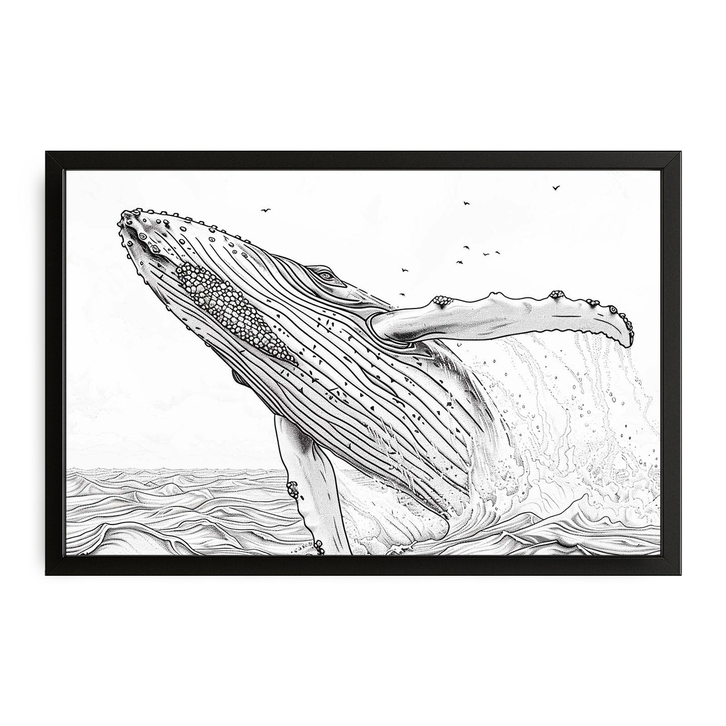 Line Art Black And White Whale Art