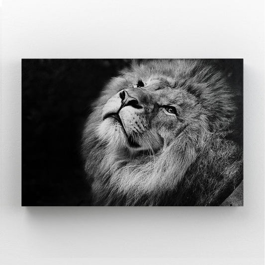 Lion Black And White Canvas — black and white canvas print in gray tones