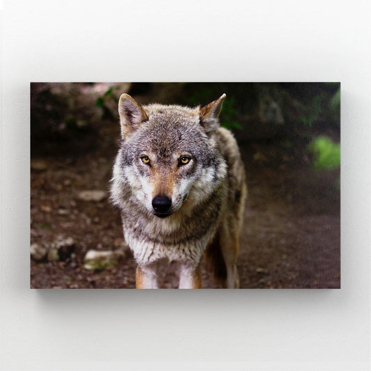 Majestic Wolf Art — realism canvas print in brown tones
