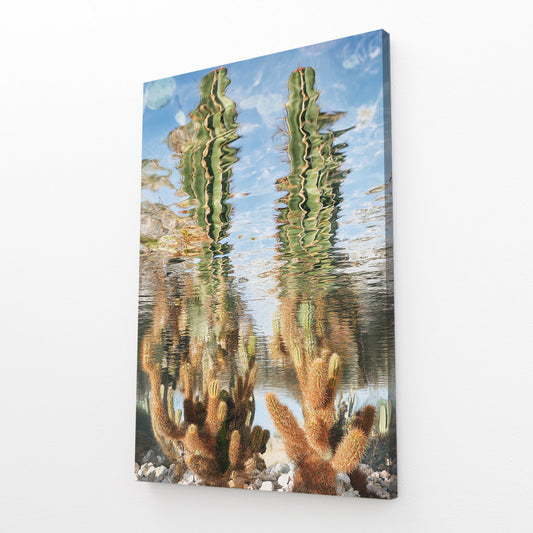 Mirror Pool Saguaro Cactus Art – angled canvas view on white background