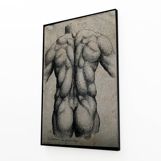 Muscular Back Study Da Vinci Art – angled canvas view on white background