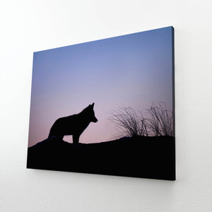 Night Wolf Art