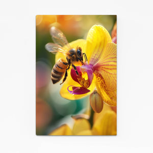 Orchid And Bee Art