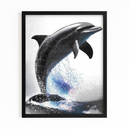 Prism Spark Dolphin Wall Art – with Premium Black wood frame on white background
