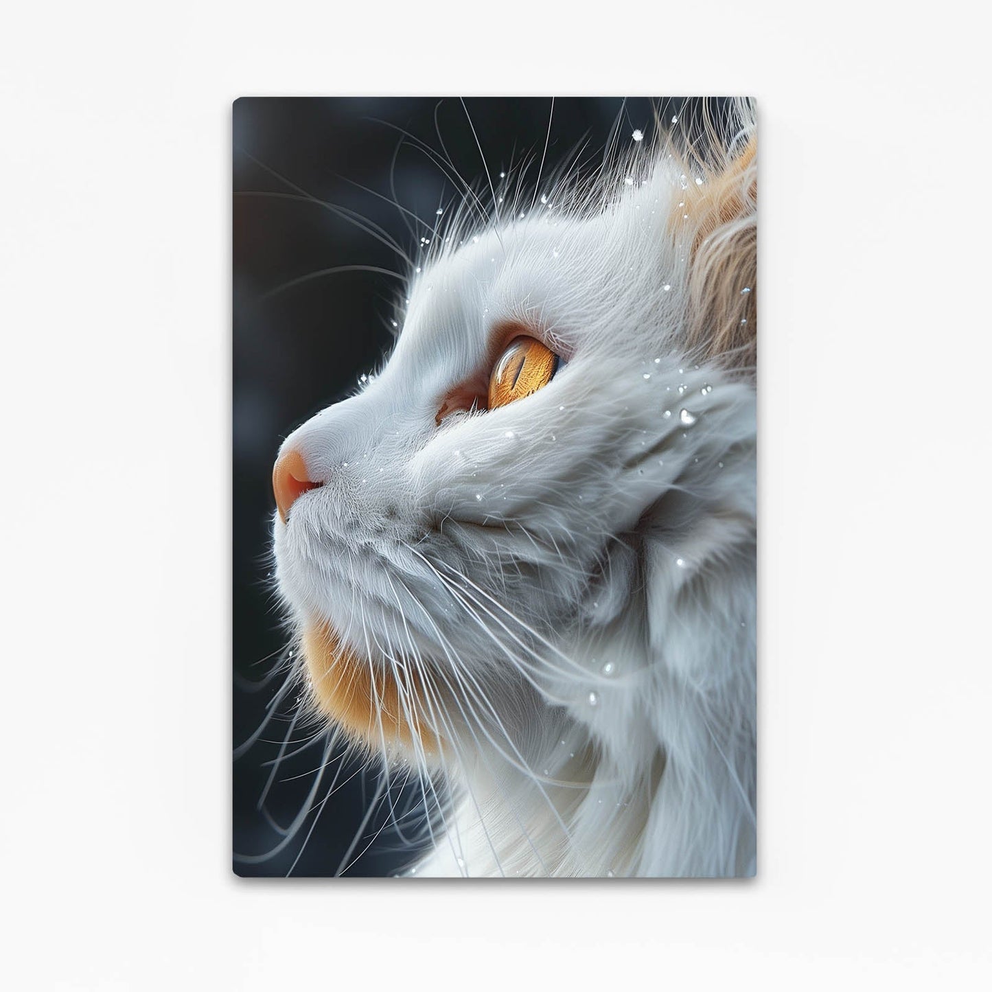 Raindrop Whiskers Cat Wall Art
