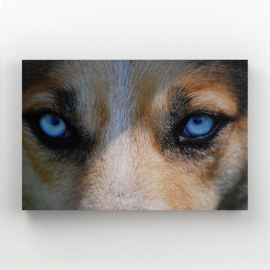 Realistic Wolf Art — photography canvas print in brown tones