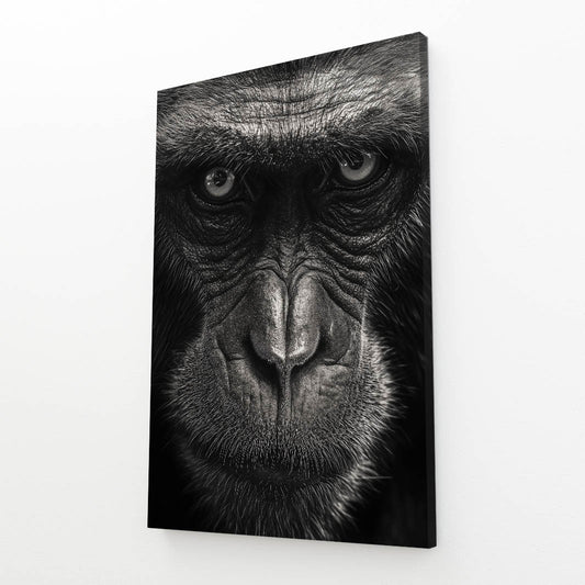 Shadowed Silver Gaze Monkey Canvas Art – angled canvas view on white background