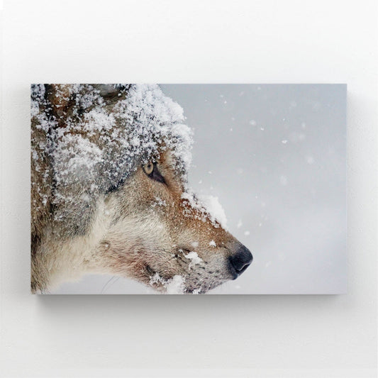 Snow Wolf Art — photography canvas print in silver tones