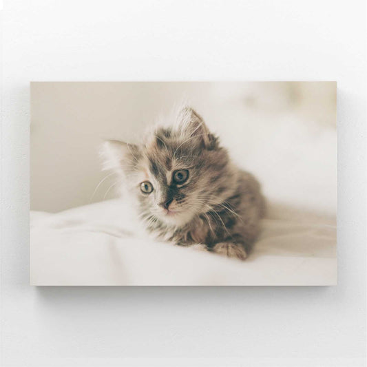 Soft Light Cat Wall Art — black and white canvas print in brown tones