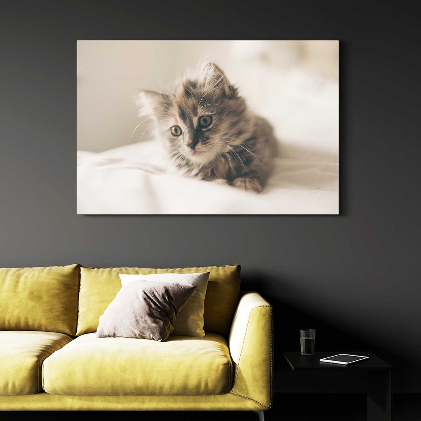 Soft Light Cat Wall Art