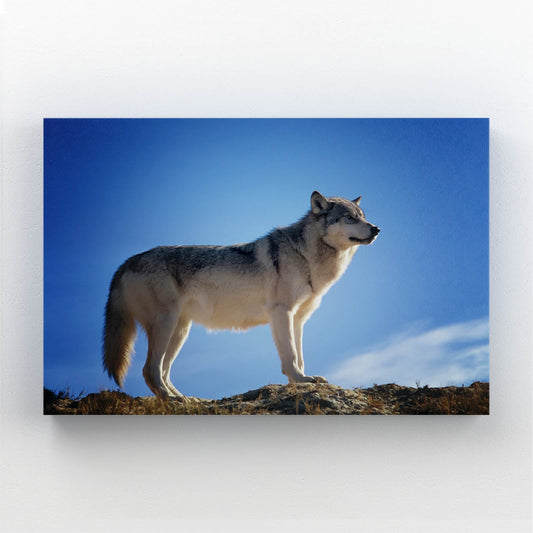 Standing Wolf Wall Art — landscape canvas print in blue tones