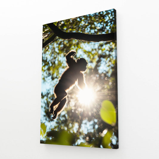 Sunburst Leap Monkey Art – angled canvas view on white background