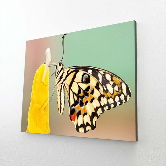 Swallowtail Butterfly On Flower Wall Art