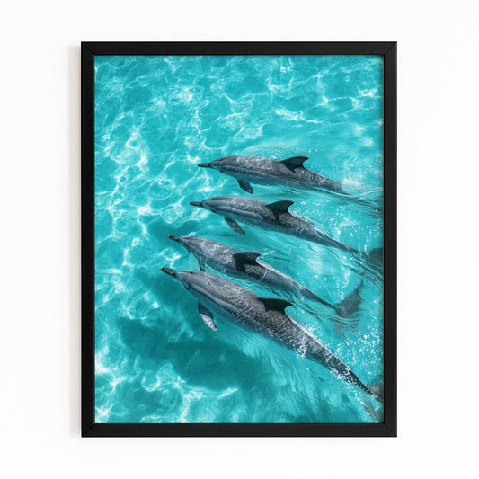 Turquoise Pod Dolphin Print – with Premium Black wood frame on white background