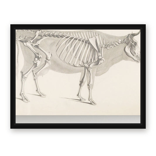 Vintage Cow Art – with Premium Black wood frame