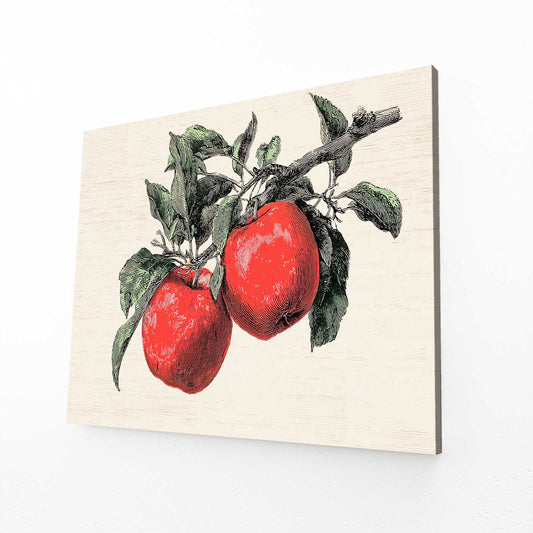 Vintage Engraved Branch Apple Wall Decor – angled canvas view on white background