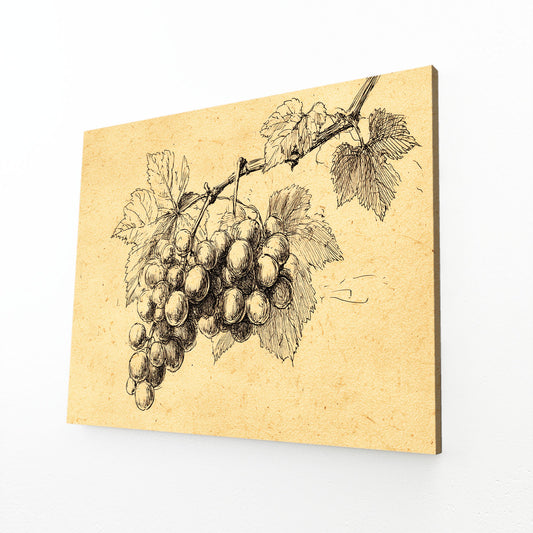 Vintage Grape Sketch Fruit Prints – angled canvas view on white background