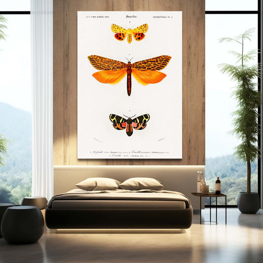 Vintage Scientific Butterfly Wall Art — vintage canvas print in white tones, view 3