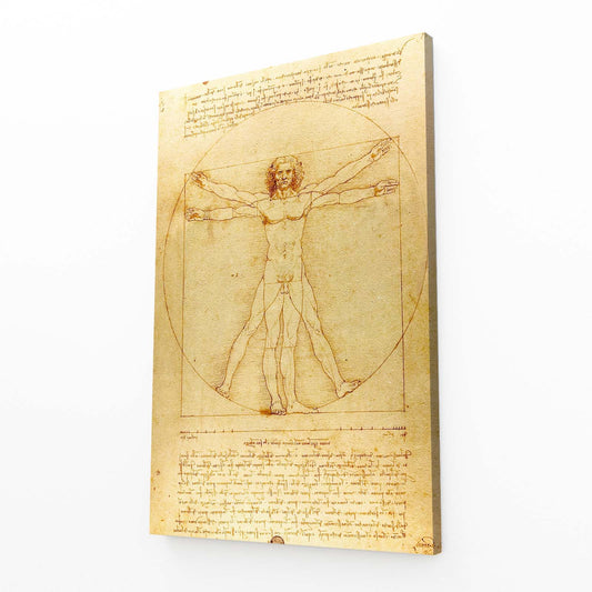 Vitruvian Man Manuscript Da Vinci Wall Decor — line canvas print, angled canvas view on white background