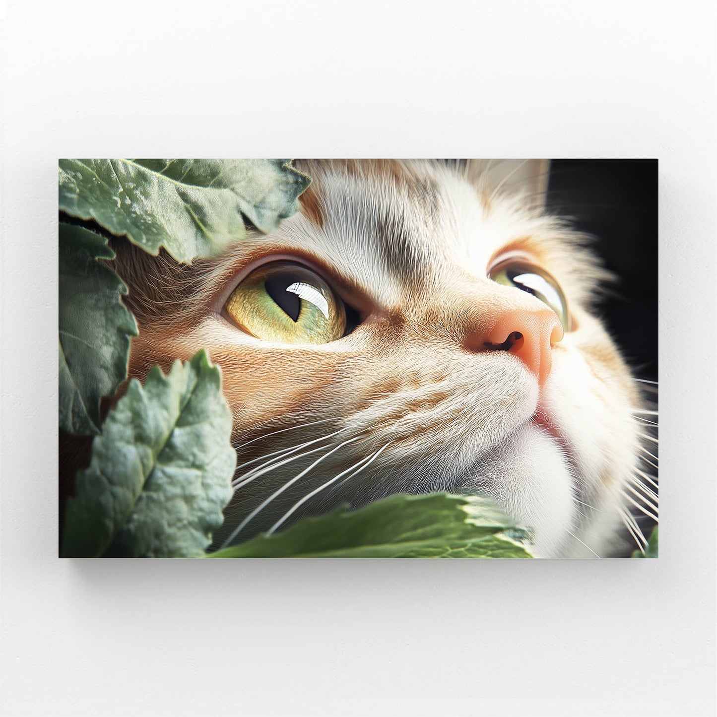 Wall Art Cat Prints