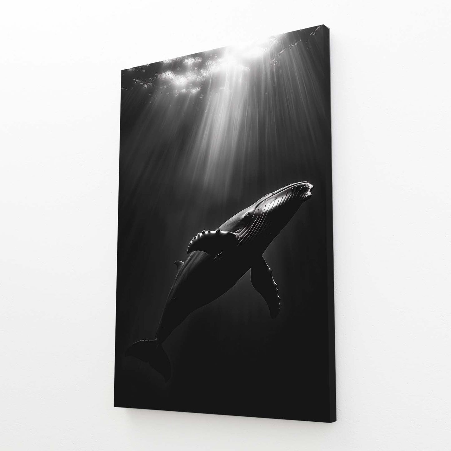 Whale Art Black And White