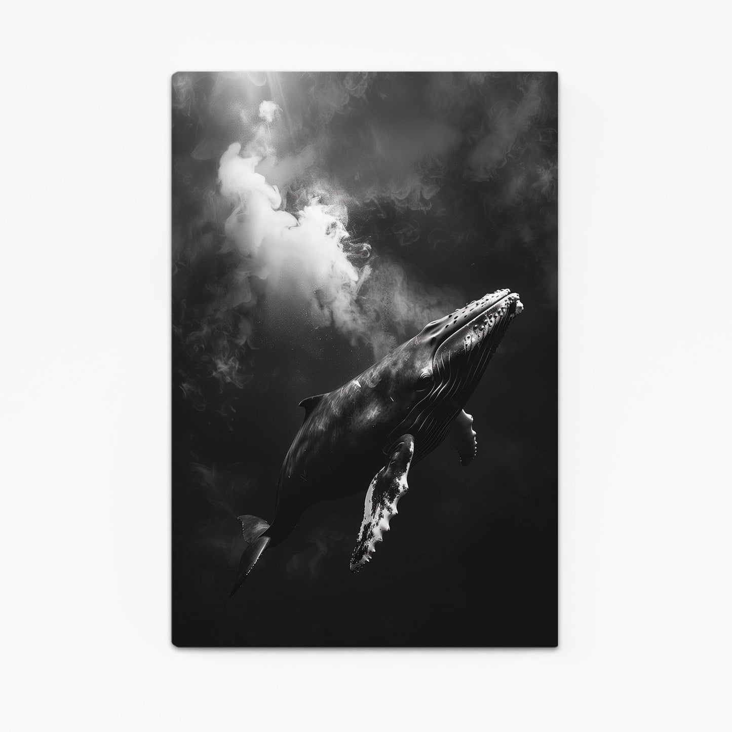 Whale Photography Print Art