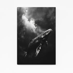 Whale Photography Print Art