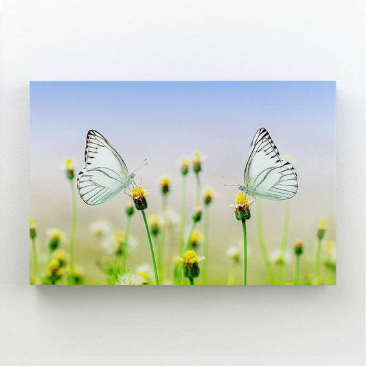 White Butterflies On Flowers Wall Art