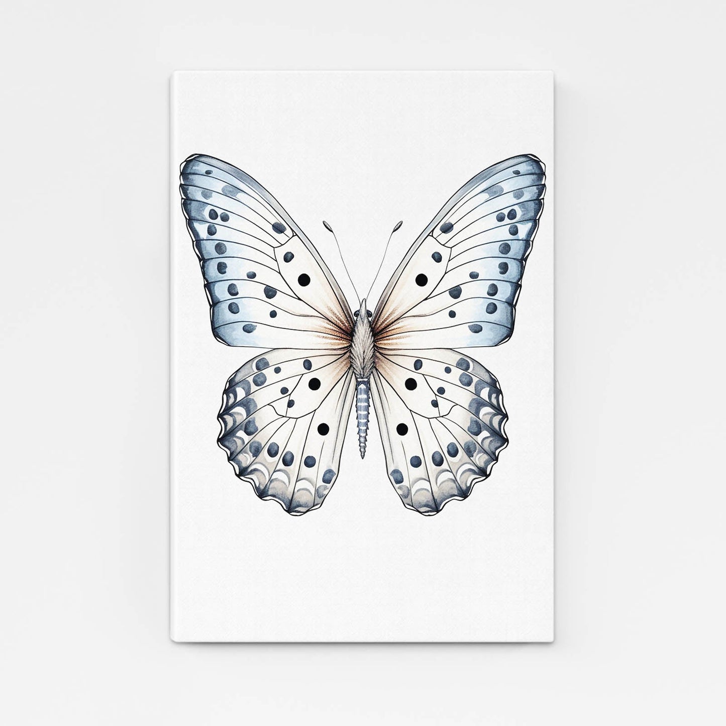 White Butterfly Wall Art