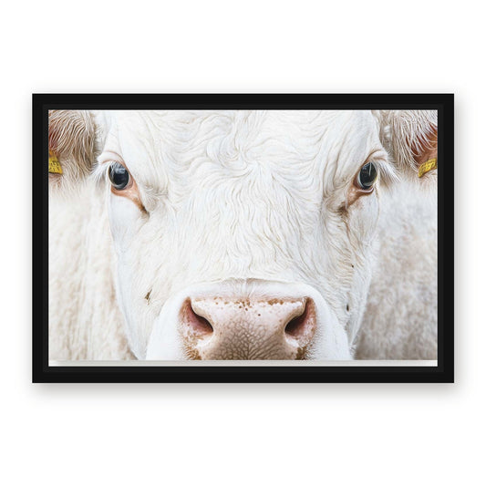 White Cow Wall Art – with Premium Black wood frame