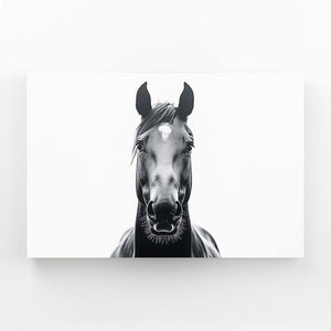 White Horse Canvas