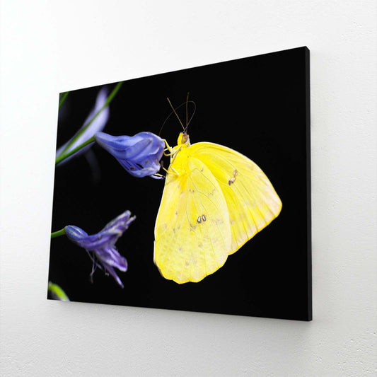 Yellow Butterfly On Purple Flowers Wall Art
