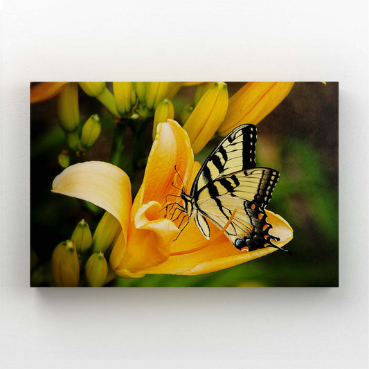 Yellow Lily Butterfly Wall Art