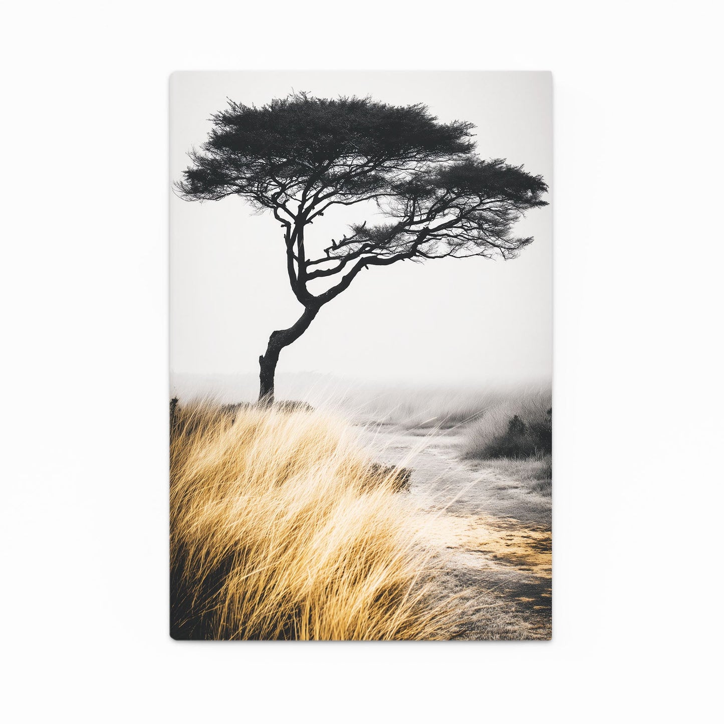 Acacia Grass Tree Photography Print – lone acacia tree over golden grass in white mist