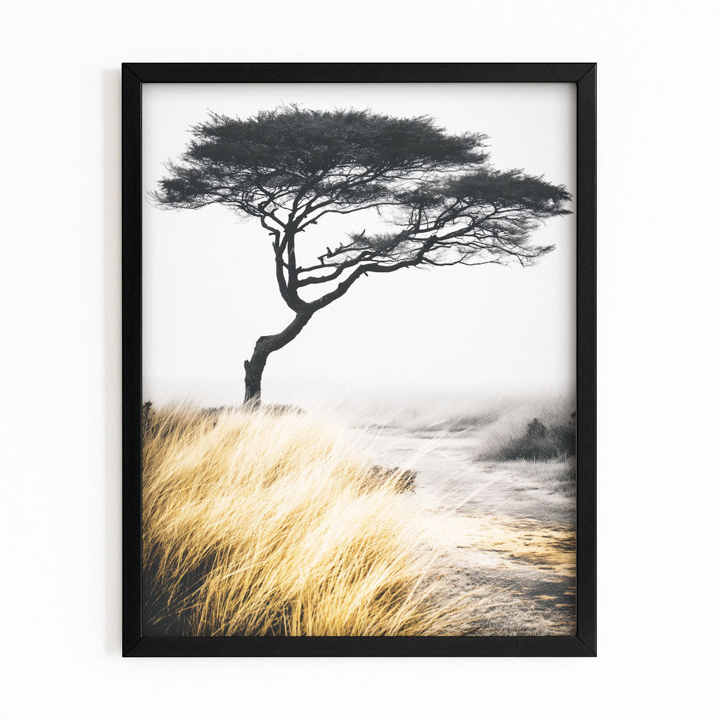 Acacia Grass Tree Photography Print — photography canvas print, with Premium Black frame on white background