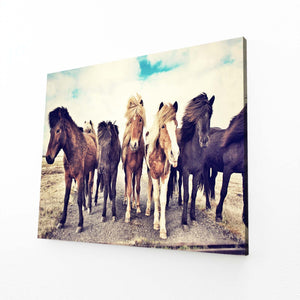 Activity Horse Canvas Art
