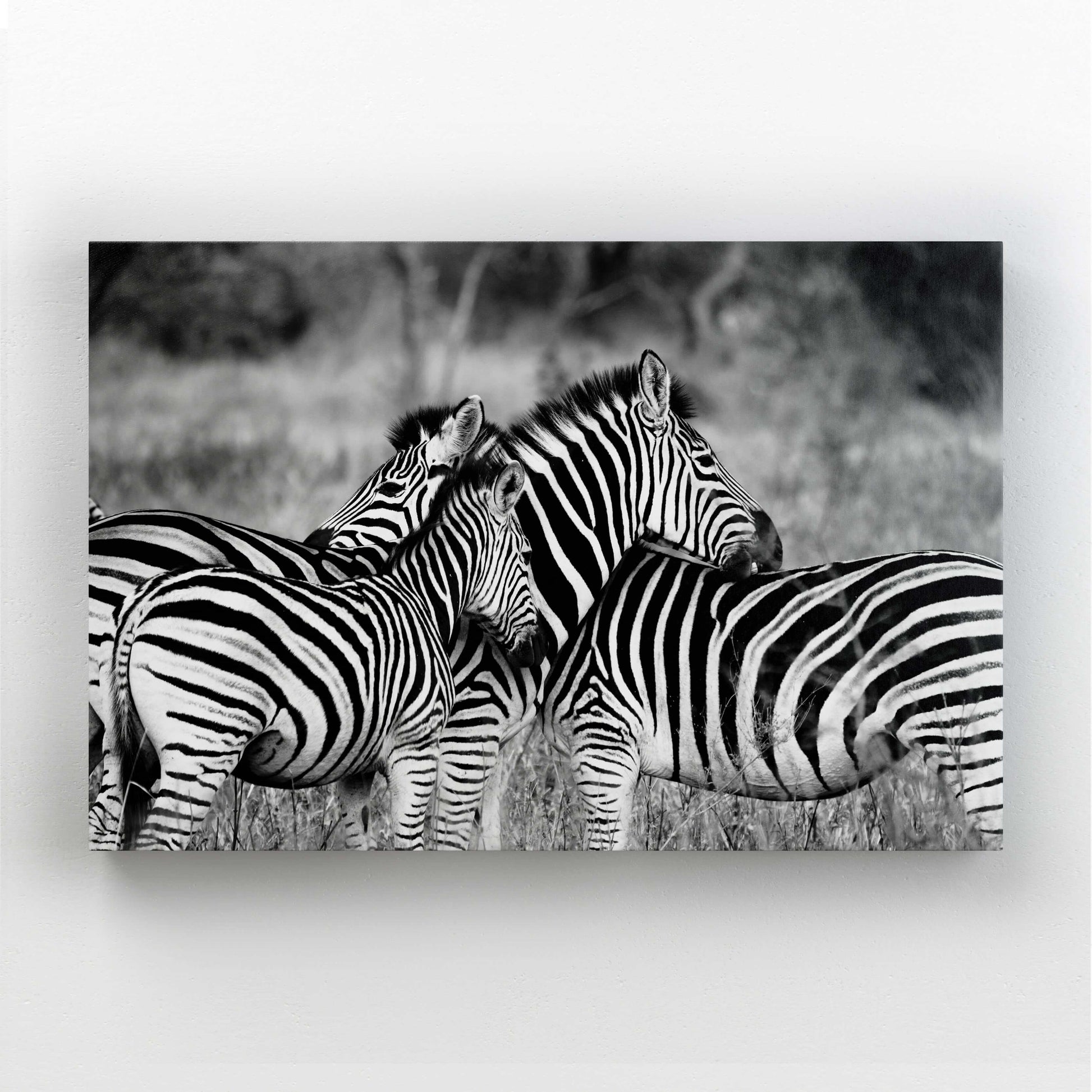 African American Wall Art For Living Room