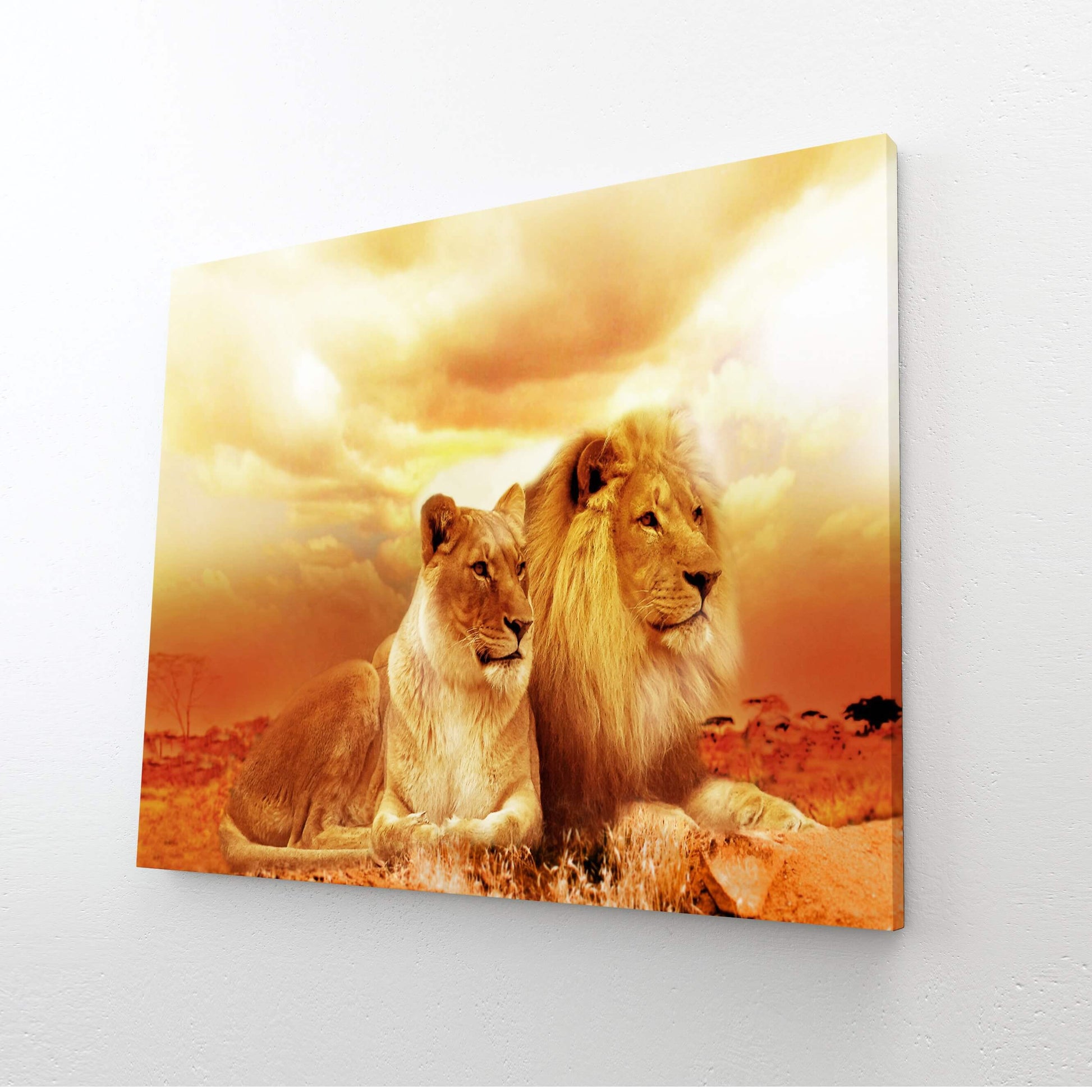African Lion Wall Art