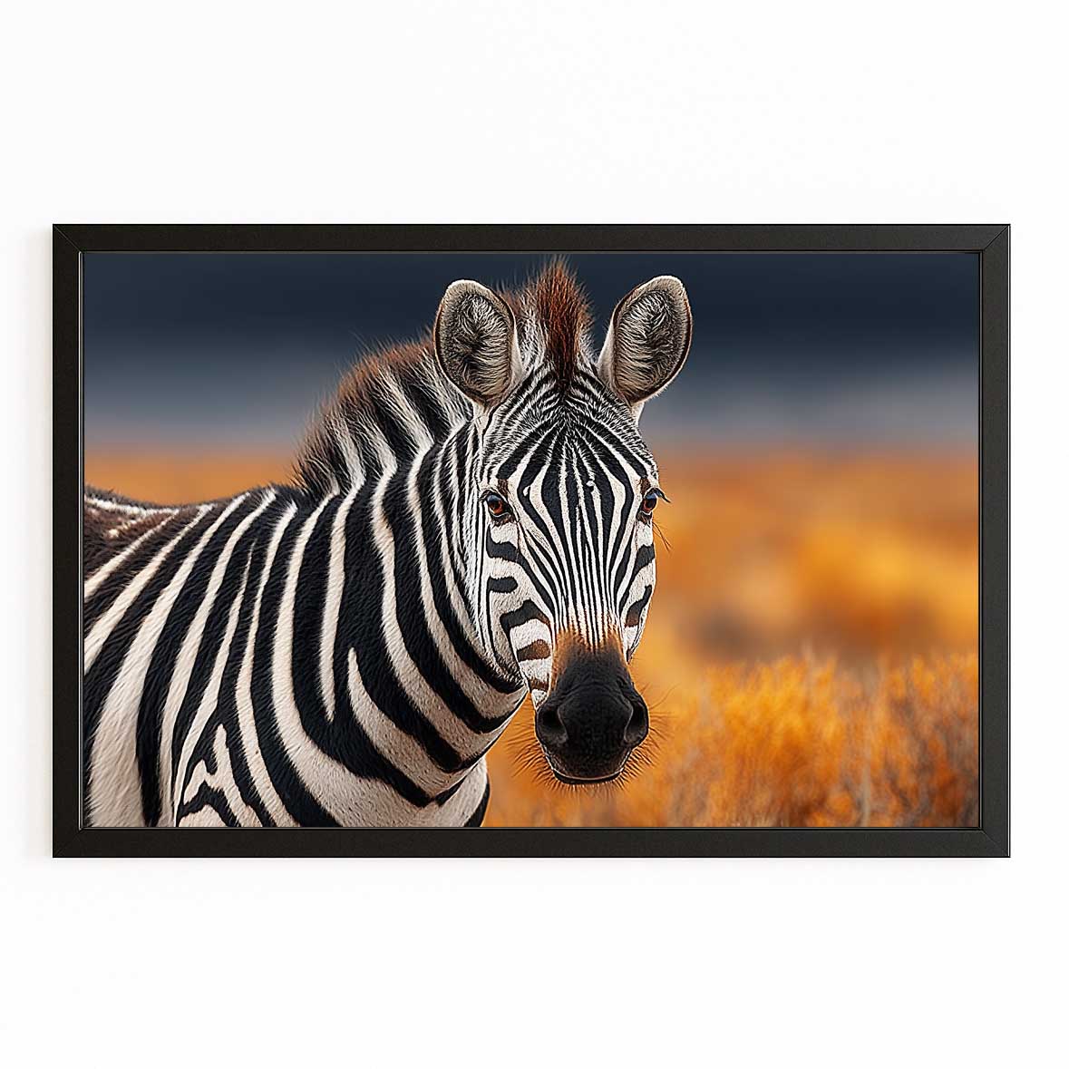 African Zebra Canvas – with Premium Black frame on white background