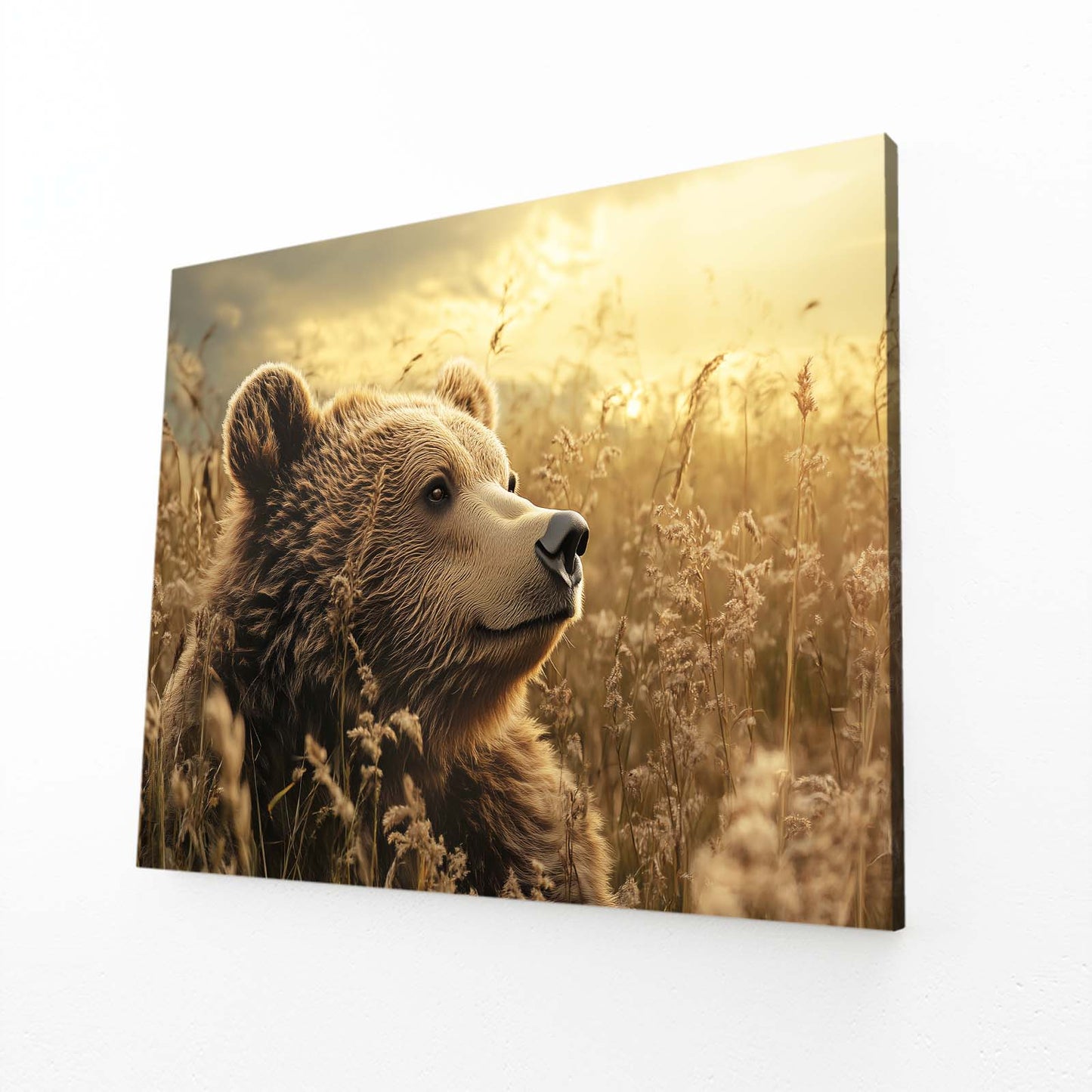 Amber Grass Gaze Bear Wall Decor — photography canvas print, angled canvas view on white background