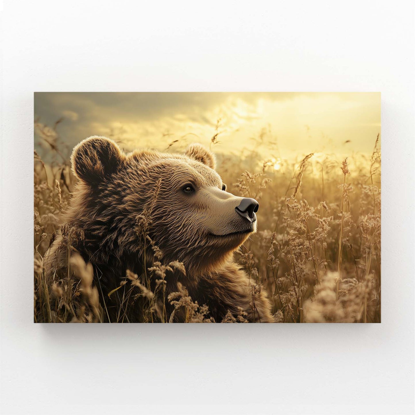 Amber Grass Gaze Bear Wall Decor — photography canvas print, angled canvas view on white background